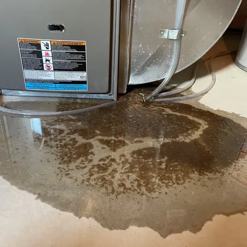 Appliance Leak Cleanup in Muskego, WI